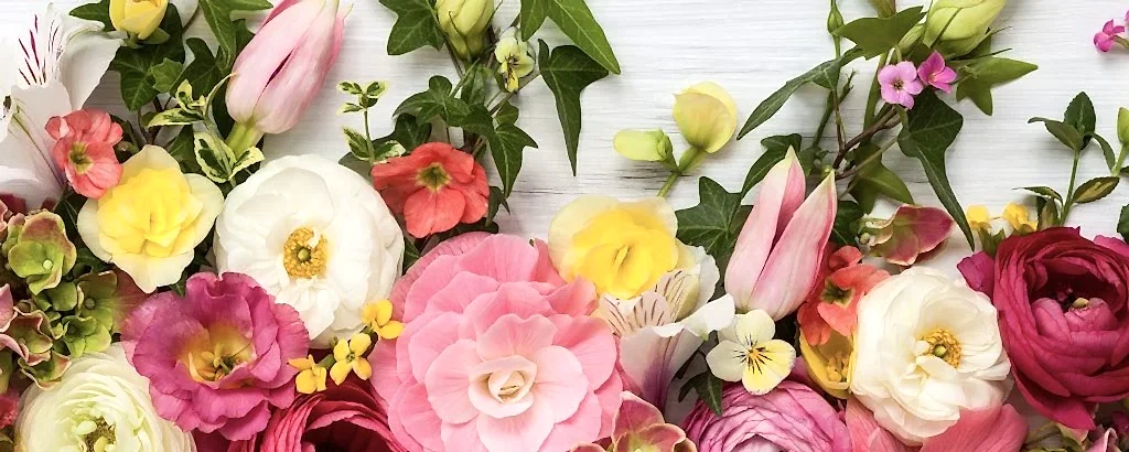 yaz kış açan bahçe çiçekleri